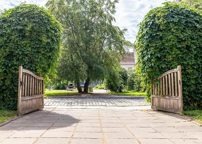 Rose Old Town Klaipėda